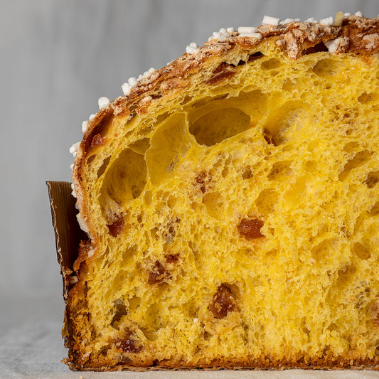 PANETTONE ALBICOCCA