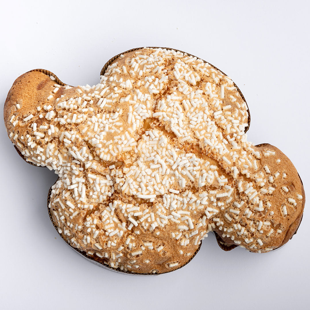 COLOMBA ALBICOCCA AI FIORI DI ARANCIA