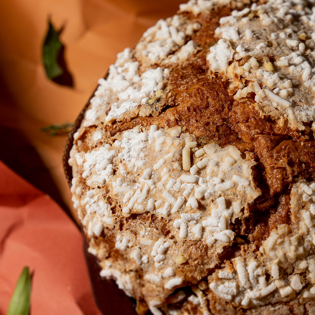 PANETTONE ALBICOCCA