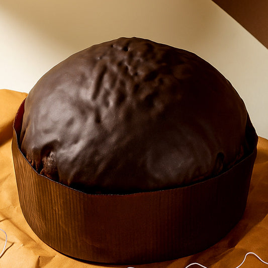 PANETTONE VIENNESE (CIOCCOLATO & ALBICOCCA)