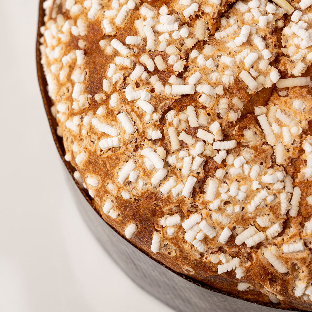 PANETTONE ALBICOCCA